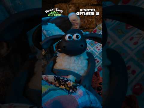 Everyone's favorite lamb, Timmy!