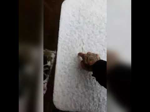 VIERCHE VWARRIOR - VINIERON TIEMPOS DIFICILES