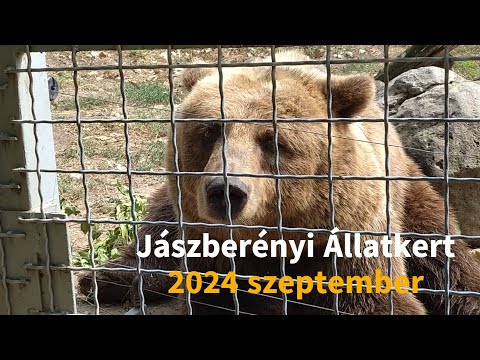 Jászberényi Állatkert Jászberény Zoo 2024 szeptember