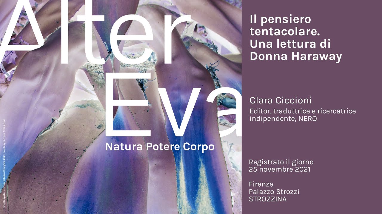 Il pensiero tentacolare. Una lettura di Donna Haraway