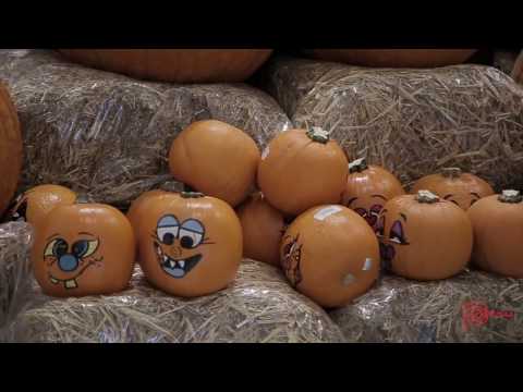 Peruvian Quinoa Week at Pusateri's