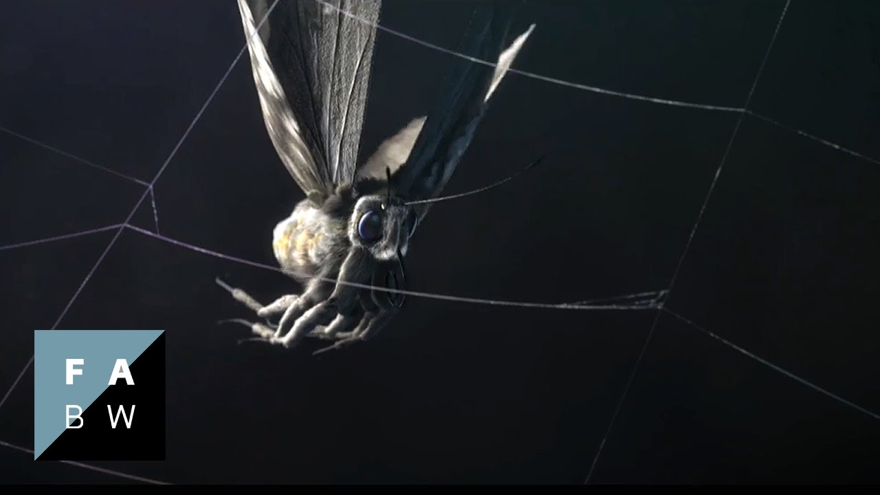 Loom - Animated short film (2010)