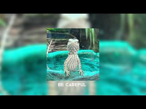 Be careful ~ Cardi B [sped up]