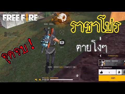 โปรฟีฟาย