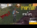 โปรฟีฟาย