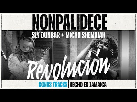 Revolucion - Nonpalidece