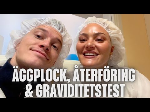ÄGGPLOCK, ÅTERFÖRING & GRAVIDITETSTEST (IVF-RESA del 3)