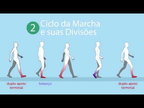 Marcha Normal – ciclos e fases da marcha