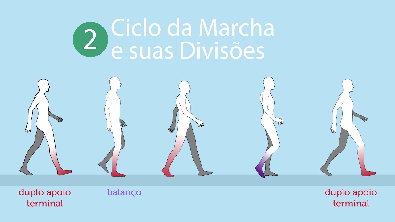 Marcha Normal – ciclos e fases da marcha