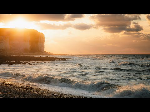 The Ambientalist - Sunny Days