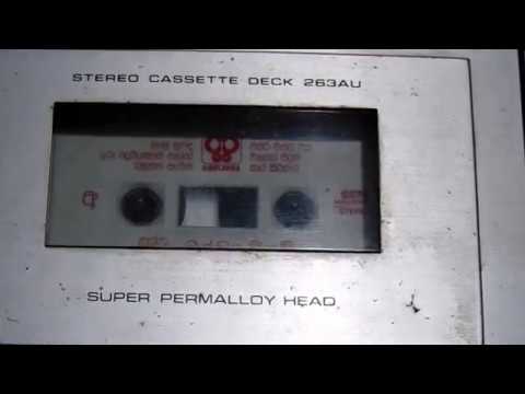 Sara Sirisara - Nanda Malini