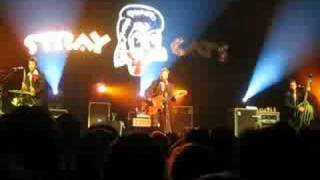 Stray Cats - Seven Nights To Rock