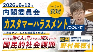 【国民民主党 野村美穂 質疑】26/6/12カスタマーハラスメントについて質問しました