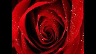 MASSIMO DI CATALDO_M'INNAMORERO'