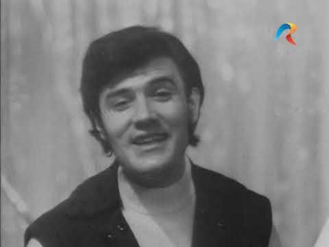 Sincron - Cucule, pasăre sură