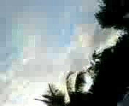 A galera do Gira sol arrebentando no fim da festa