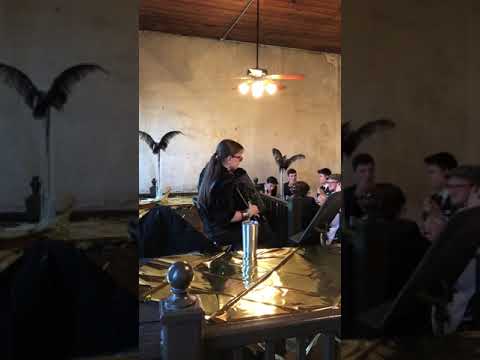 Promotional video thumbnail 13 for Rebecca Jane Accordion/Keyboard/Pianist