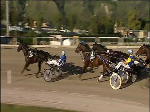 Trotto 19/10/2019 - 5ª corsa