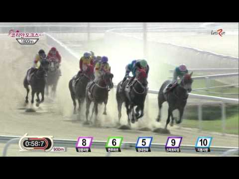 Korean Oaks 2015 - Jangpung Parang