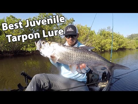 Fishing Juvenile Tarpon on YouTube