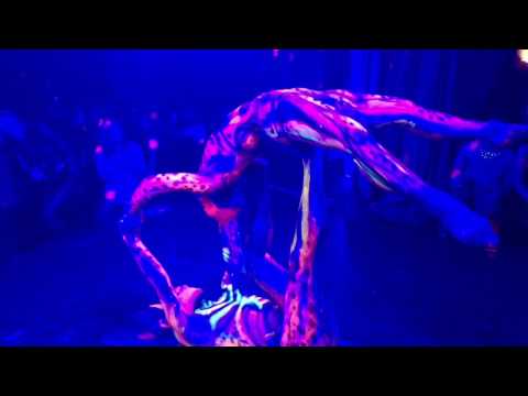 Cosmic Acro Cats @ Babel 30/1/16 (AcroDance, Mane Rayne and Laura Doyle) No Filter