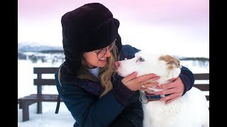 MEETING 300 HUSKIES! TROMSØ, NORWAY