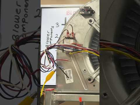 How to Simply Wire a Motor with a Relay