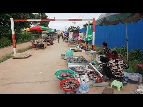 Amazing Countryside Market in Morning - Morning Food Market @Prek Tatoun Kandal Province