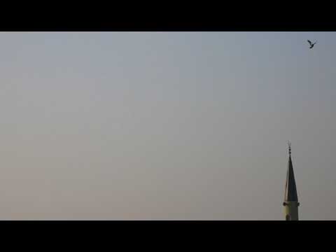 Talvin Singh | I of the Bird