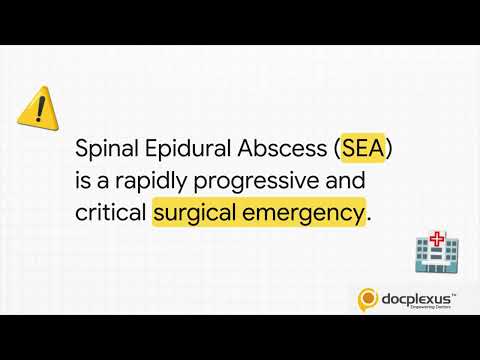 Red Flags in Back Pain: Could You Be Missing a Spinal Emergency?