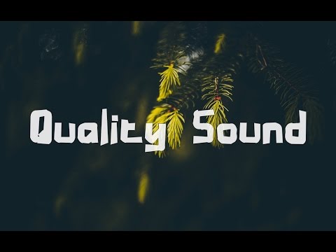 Ninski & Wylen - Heart Melt