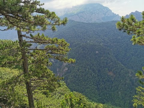 Tjentiste - Prijevor (part 1)