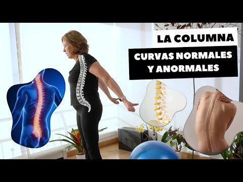 LA COLUMNA – CURVAS NORMALES Y ANORMALES
