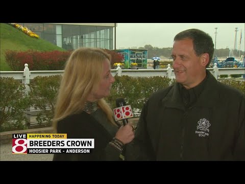 Breeders Crown preview at Hoosier Park Racing & Casino