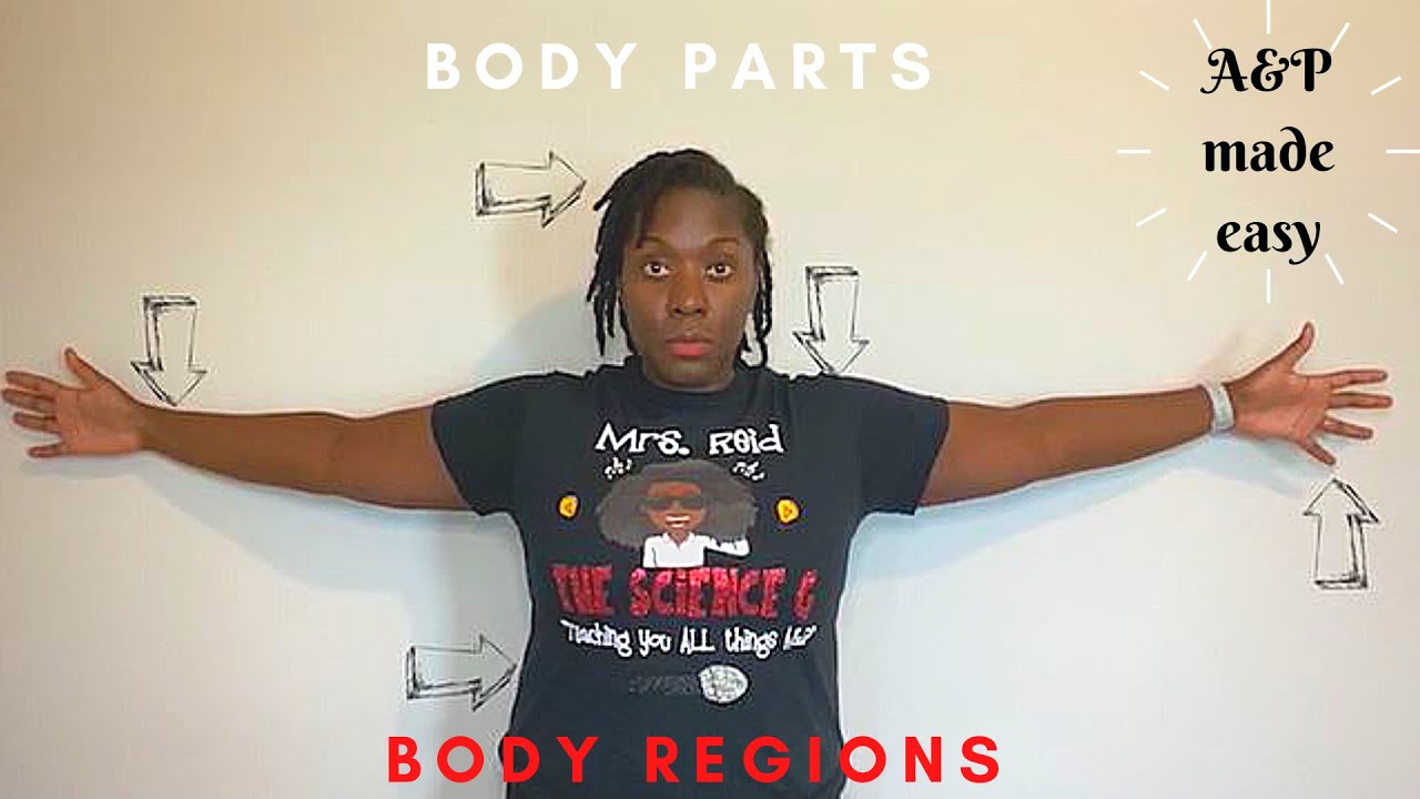 BODY PARTS AND BODY REGIONS! Cardi B remix!!