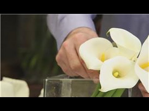 download lagu mp3 mp4 Calla Lilly Arrangements, download lagu Calla Lilly Arrangements gratis, unduh video klip Calla Lilly Arrangements