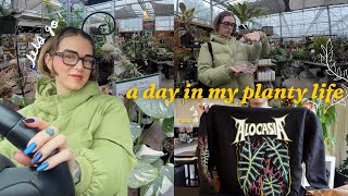 run errands w me 🌿 garden centre & planty clothing haul!