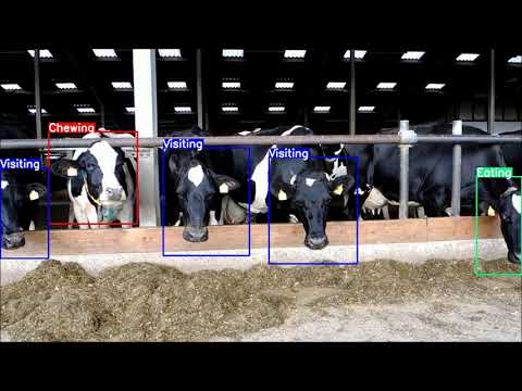 Computer Vision for Precision Livestock Farming