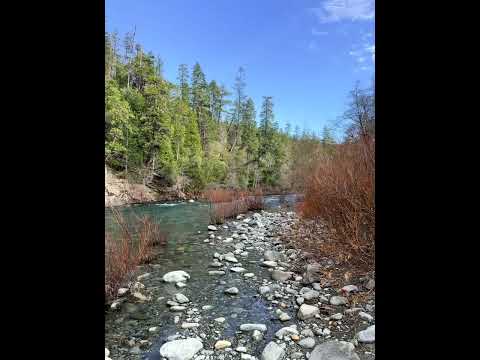 View of the river below the campground.