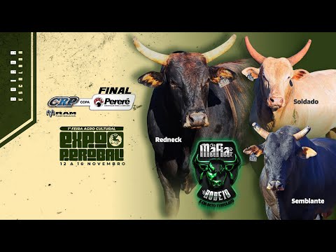 Rodeio de PEROBAL 2025 (S0RTEI0 / SEXTA / ROUND 1)