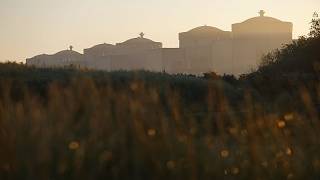 Una invasión de medusas obliga a parar 3 reactores de la central nuclear de Gravelines (Francia)