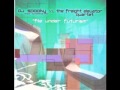 Dj Spooky-Infrared