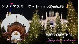 【週末Vlog】クリスマスマーケット In Copenhagen チボリ公園/Nyhavnnなど