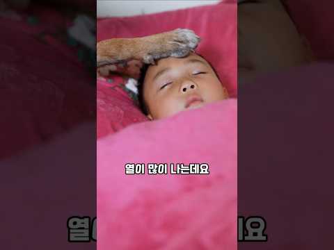 위급한 상황에 대처하는 댕댕이의 반전 2 #반려견 #천재견