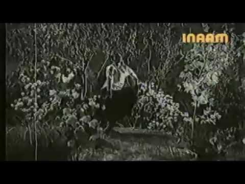 NOOR JAHAN KA GANE|NOOR JAHAN SONGS| TARIAN DE LOY LOY|KHURSHID ANWAR|MOVIE GUDDO|SALONI SONG