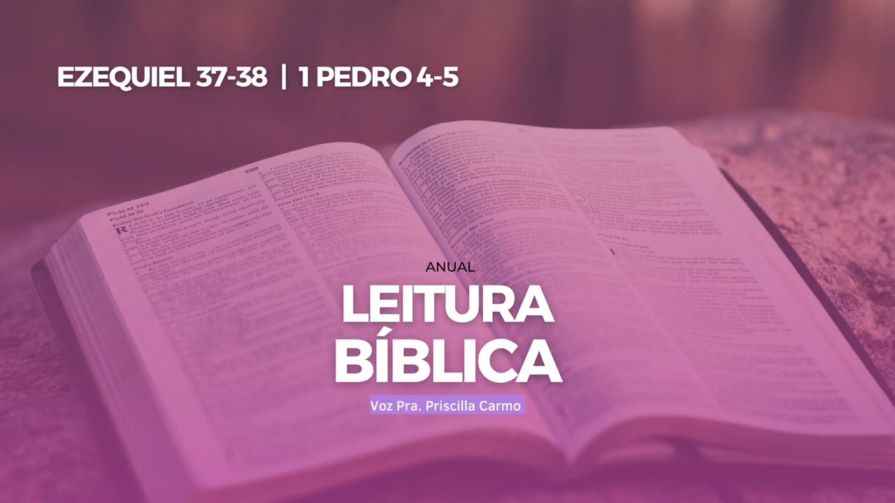 Leitura Bíblica Anual | 333º Dia