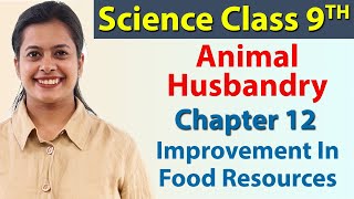 Animal Husbandry, Cattle Farming, Chapter 12 - Improvement In Food Resources - Science Class 9 NCERT