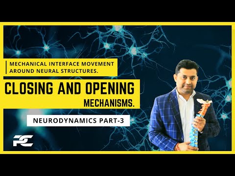 Conceptual Framework of Neurodynamics Treatment Approach The 3 Part System