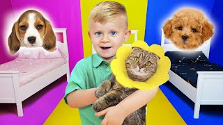 Kids Take Care of Animals at the Pet Hotel