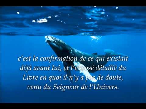 Sourate 10. Jonas (Yunus) / Récitation en VO & Traduction en Français par Saad Al-Ghamidi